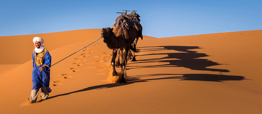 8 days tour from casablanca to marrakech by desert itinerary